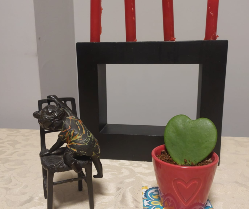 cactus
